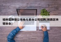 榆林区块链公司有几家分公司招聘[陕西区块链协会]