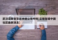 武汉云链智慧区块链公司咋样[云链智端中国社区最新消息]