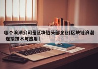 哪个浪潮公司是区块链头部企业[区块链浪潮 连接技术与应用]